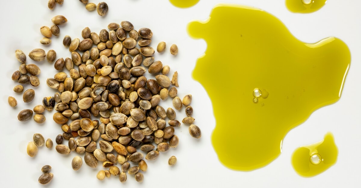 Hemp seeds green oil